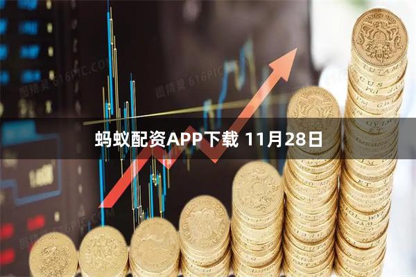 蚂蚁配资APP下载 11月28日