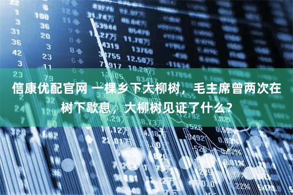 信康优配官网 一棵乡下大柳树，毛主席曾两次在树下歇息，大柳树见证了什么？