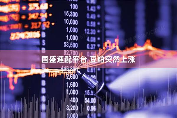 国盛速配平台 豆粕突然上涨